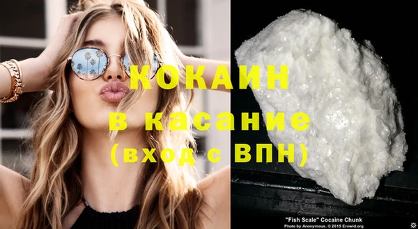 гашик Пестово