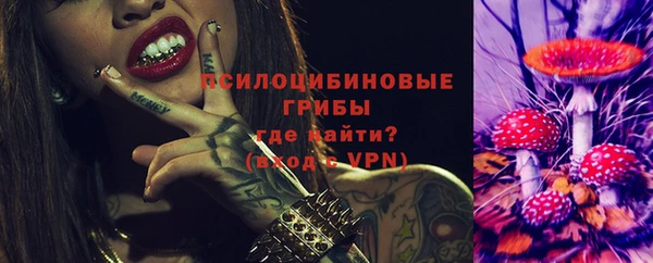 ГАЛЛЮЦИНОГЕННЫЕ ГРИБЫ Пересвет