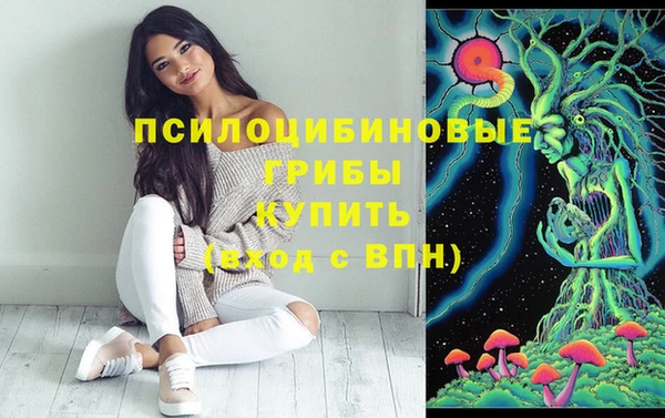 МДПВ Абаза