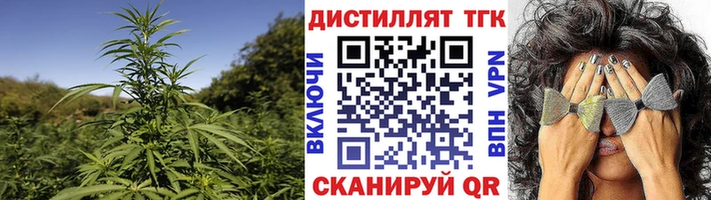 OMG ONION  купить   Гусиноозёрск  Дистиллят ТГК жижа 
