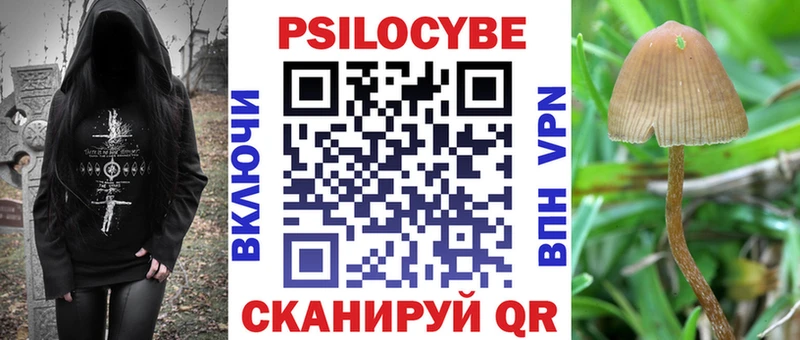 Галлюциногенные грибы Psilocybine cubensis  Гусиноозёрск 