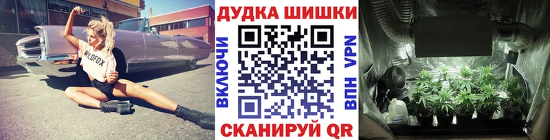 Шишки марихуана сатива  Гусиноозёрск 